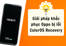 oppo bị lỗi coloros recovery