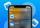 tìm file tải về từ zalo lưu ở đâu iphone