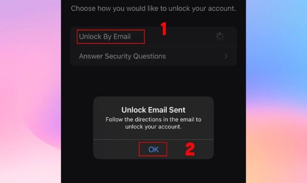 Nhấn "Đặt lại mật khẩu bằng email"
